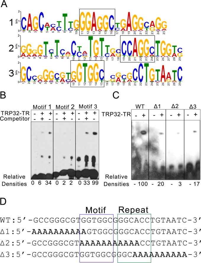 FIG 9