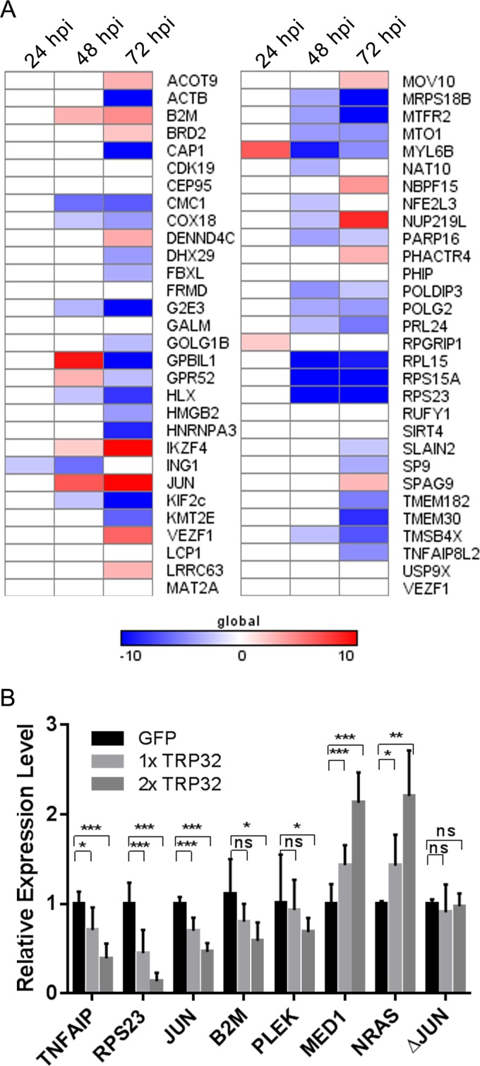 FIG 10