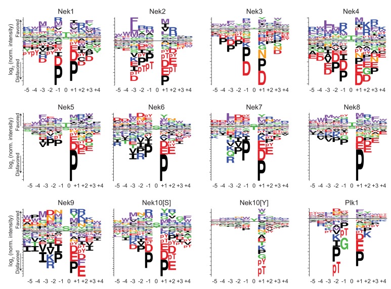 Figure 1—figure supplement 3.