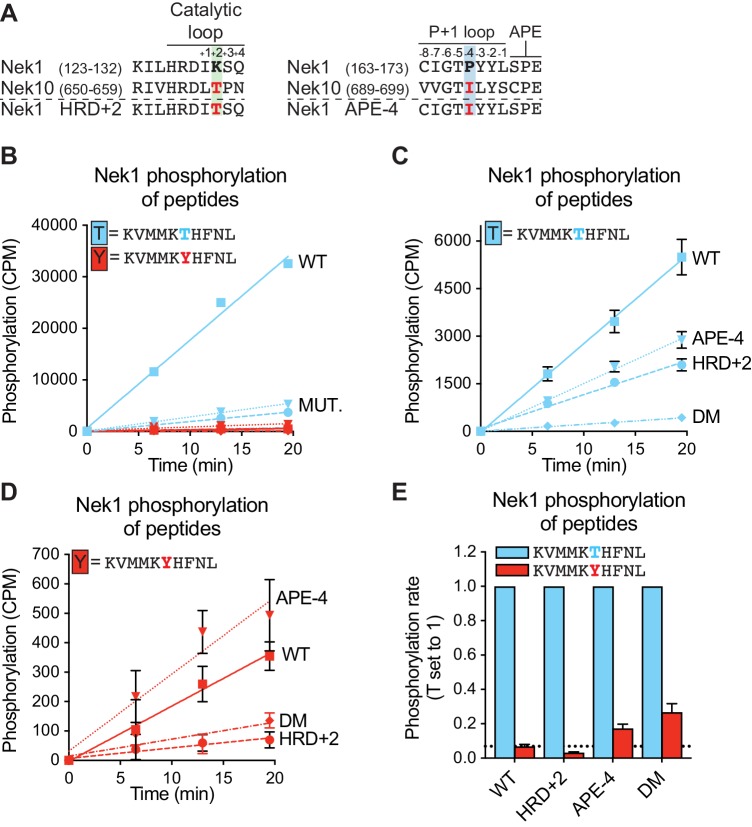 Figure 3—figure supplement 3.