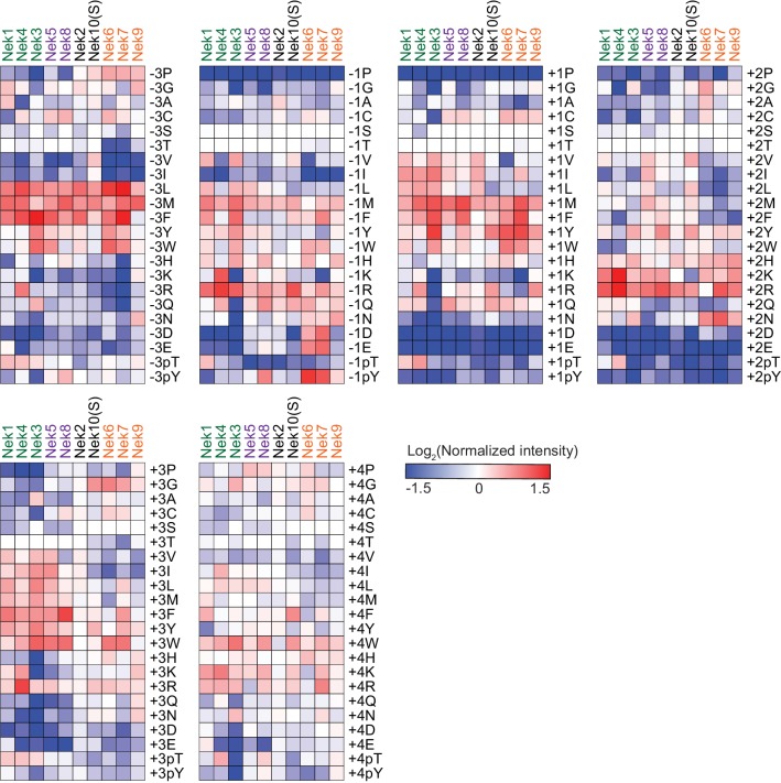 Figure 6—figure supplement 1.