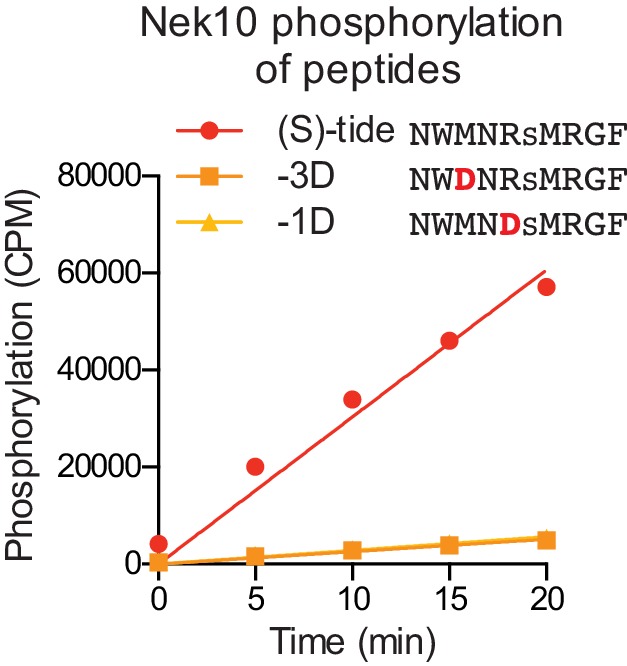 Figure 4—figure supplement 1.