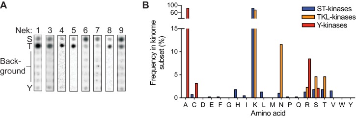 Figure 3—figure supplement 2.