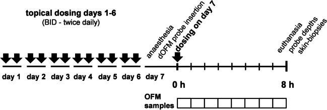 Fig. 2