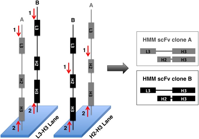 Fig. 2.