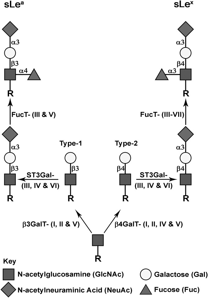 Fig. 1.