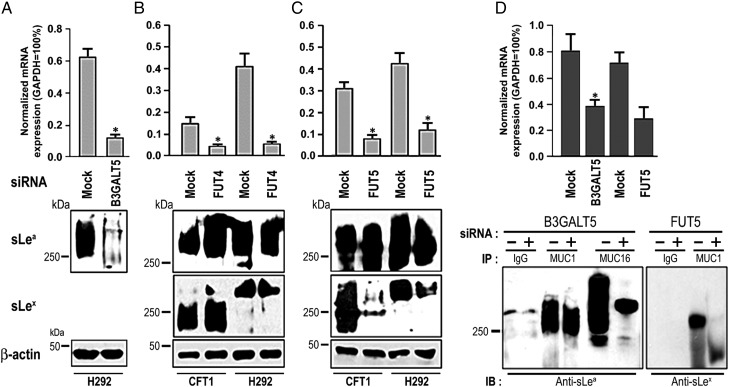 Fig. 6.