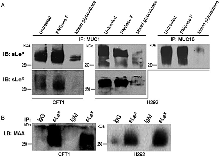 Fig. 4.