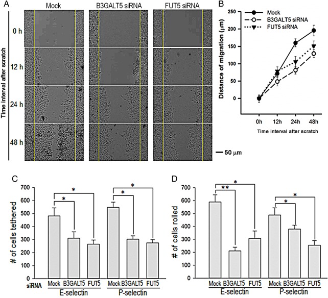 Fig. 7.