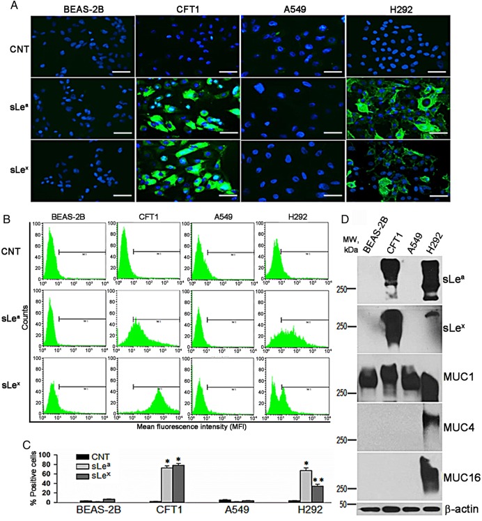 Fig. 2.