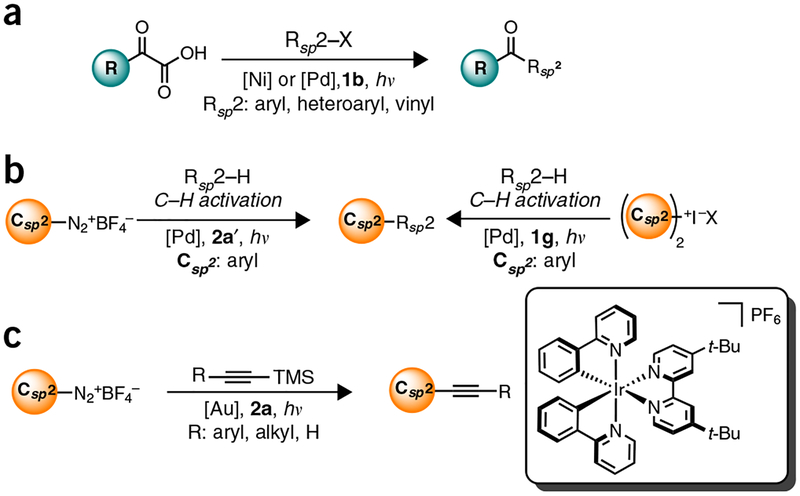 Figure 5 |