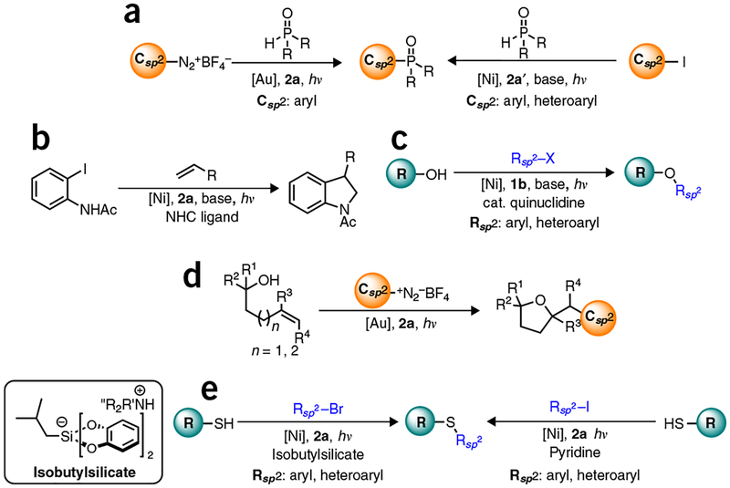 Figure 6 |