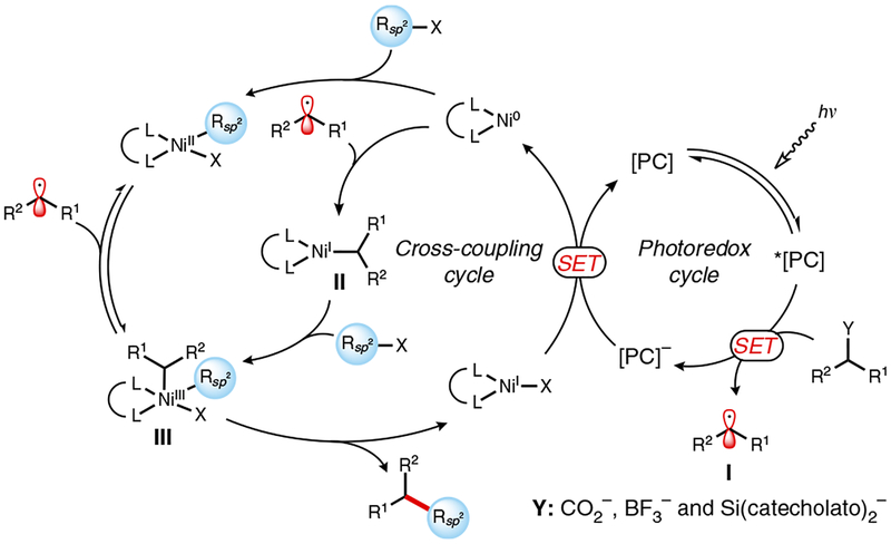 Figure 4 |