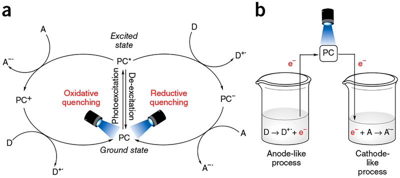 Figure 2 |