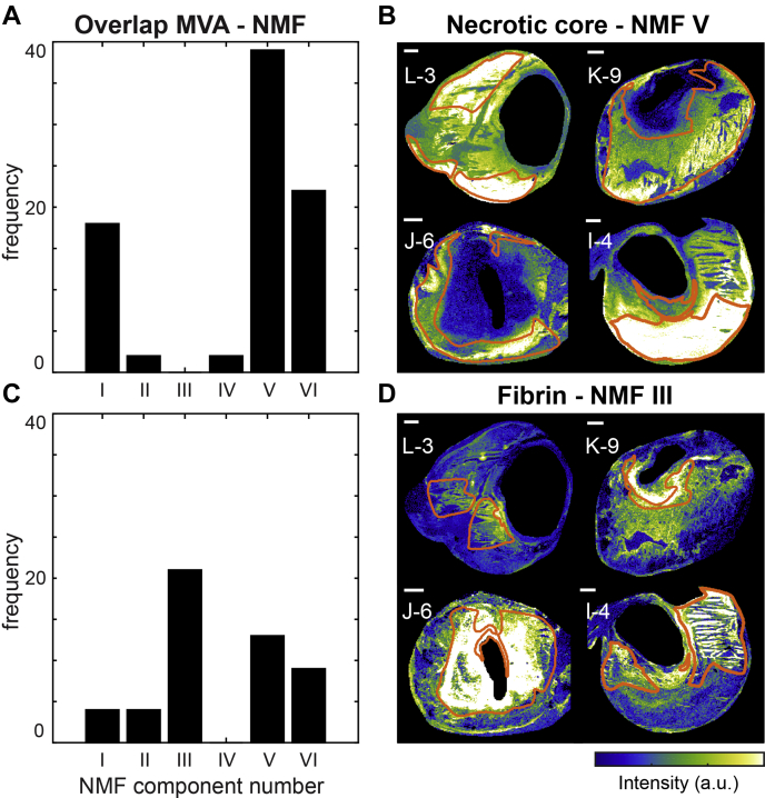 Fig. 6