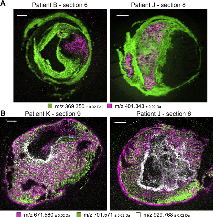 Fig. 3