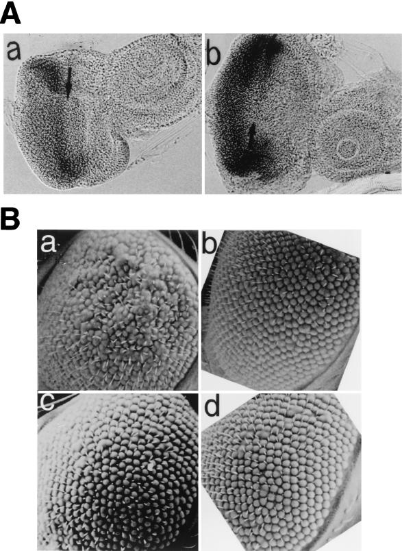 FIG. 8