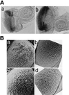 FIG. 8