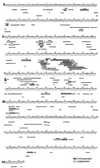 FIG. 10