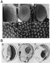 FIG. 7