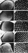 FIG. 9