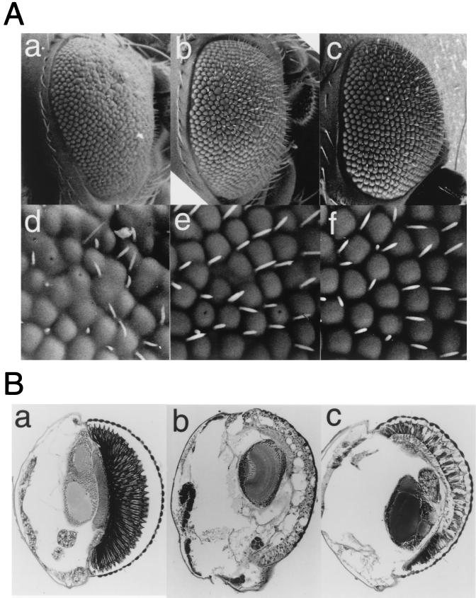 FIG. 7