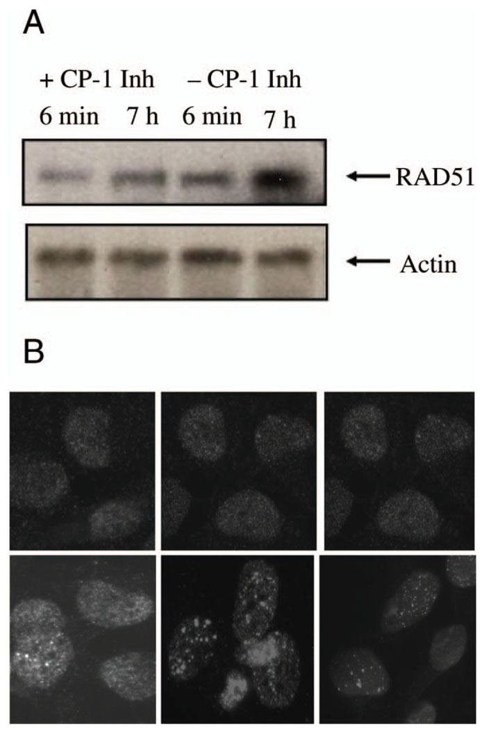 FIG. 6