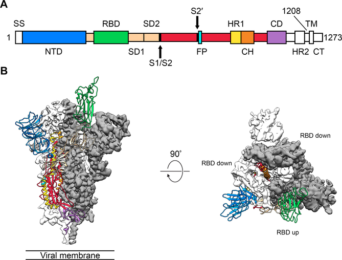 Figure 1.