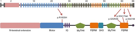 Fig. 3