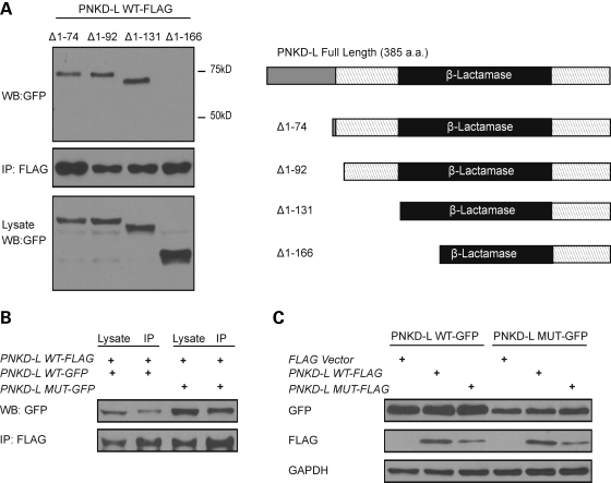 Figure 4.