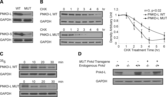 Figure 1.