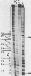 324