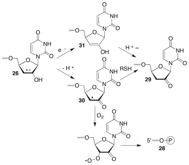 Scheme 14