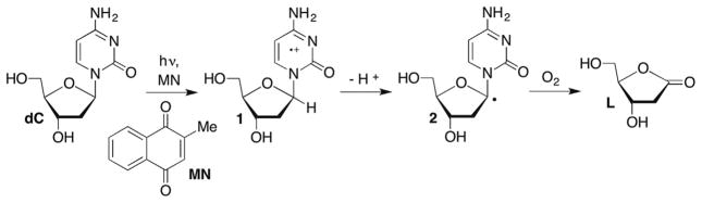 Scheme 2