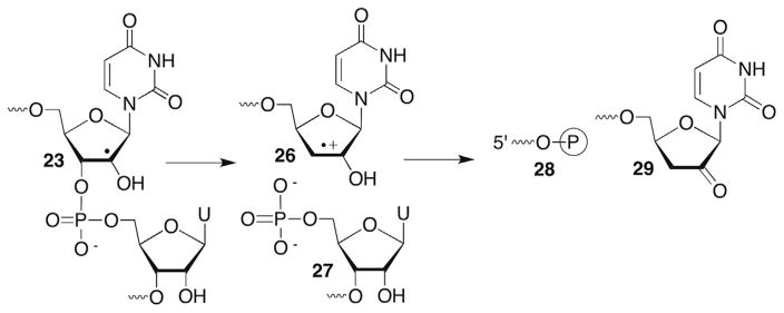 Scheme 13