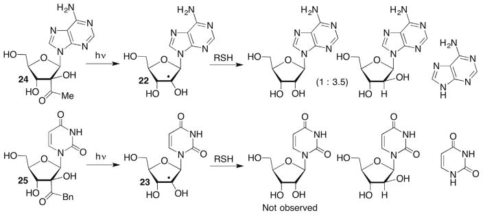 Scheme 12