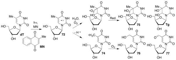 Scheme 33