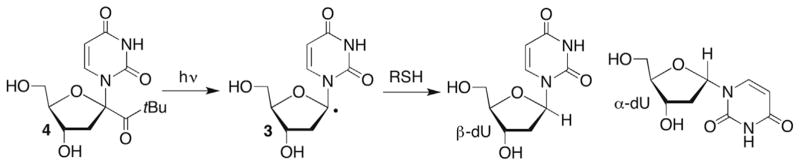 Scheme 4