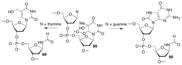 Scheme 38