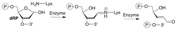 Scheme 9