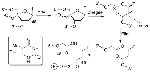 Scheme 21