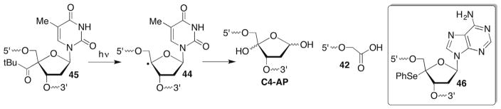 Scheme 19