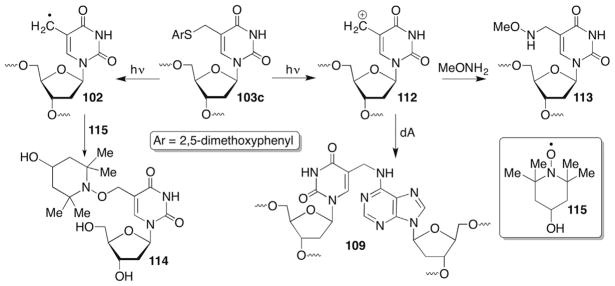 Scheme 45