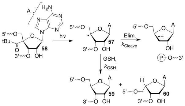 Scheme 27