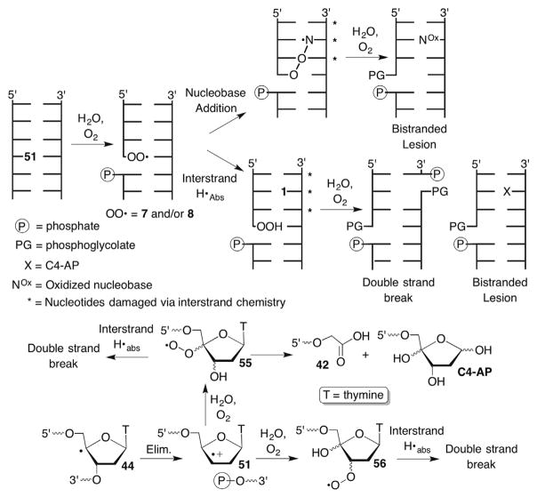 Scheme 26