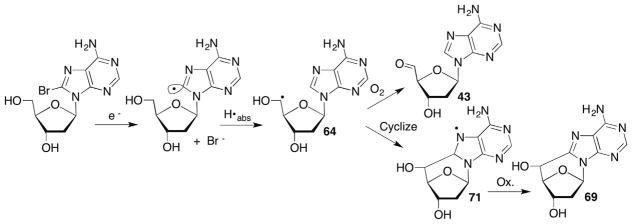 Scheme 32