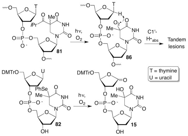 Scheme 36