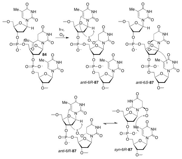 Scheme 37