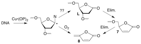 Scheme 5