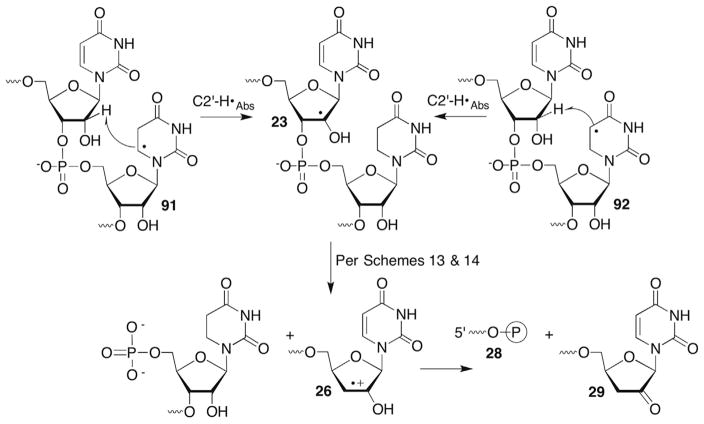 Scheme 40